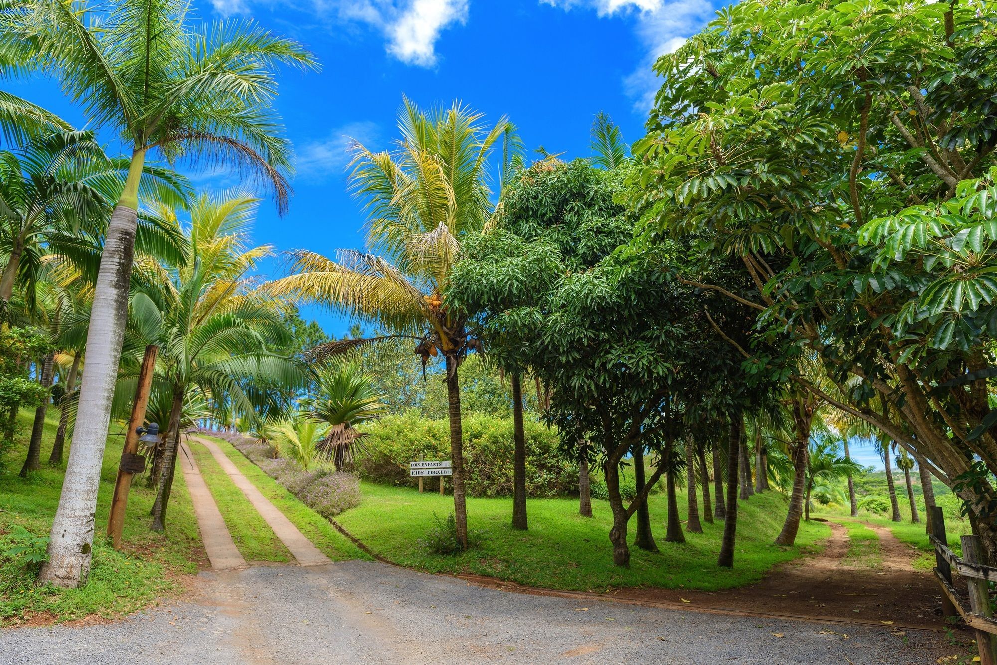 La Vieille Cheminee Hotel Chamarel Ngoại thất bức ảnh